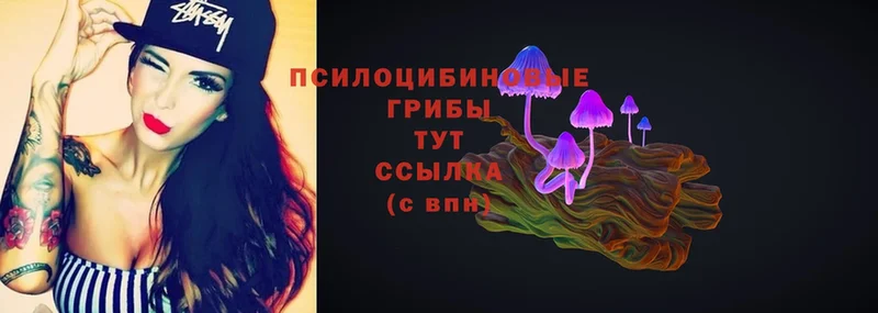 Галлюциногенные грибы MAGIC MUSHROOMS Мытищи